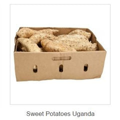 Collection image for: FRESH FOOD